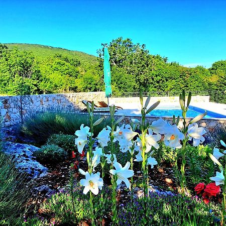 Relaxing Dalmatian House In Village Ljubitovica Εξωτερικό φωτογραφία