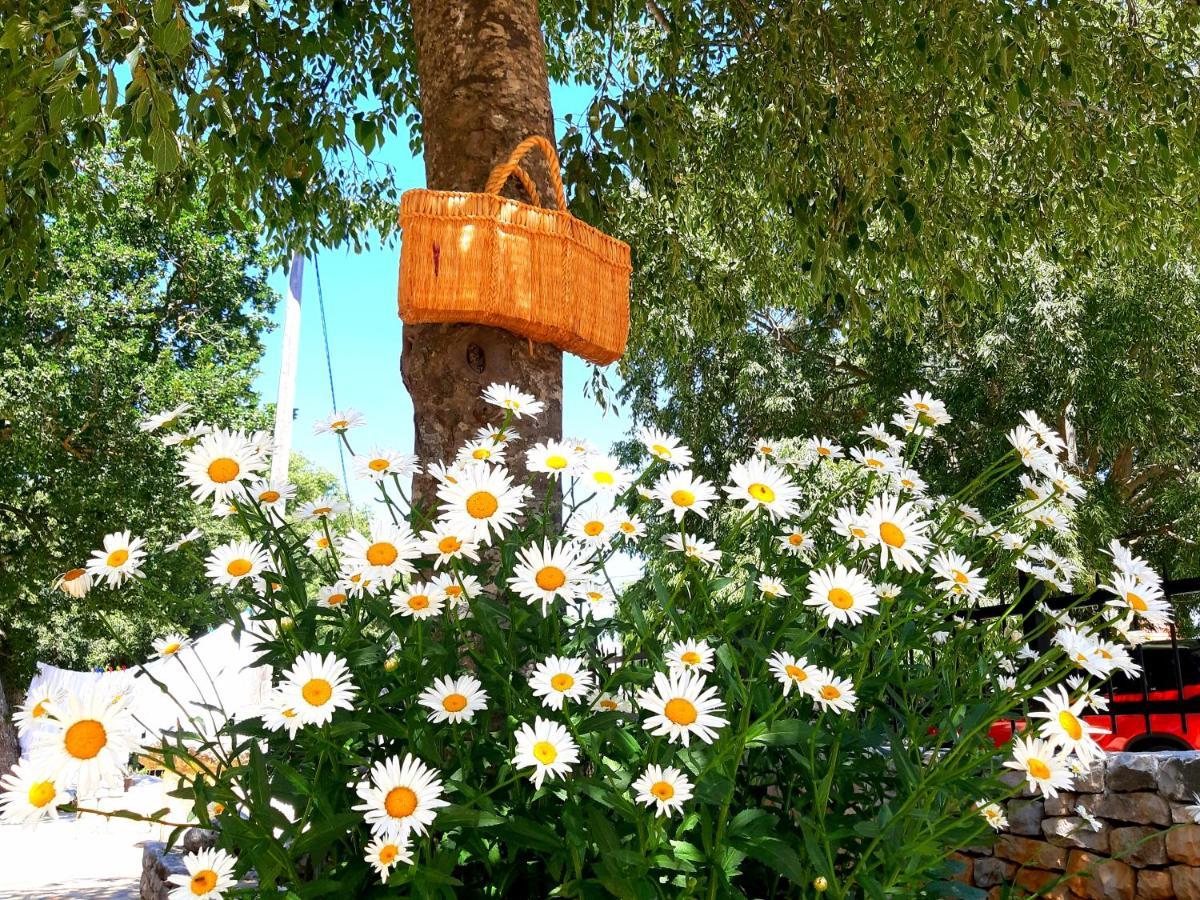 Relaxing Dalmatian House In Village Ljubitovica Εξωτερικό φωτογραφία