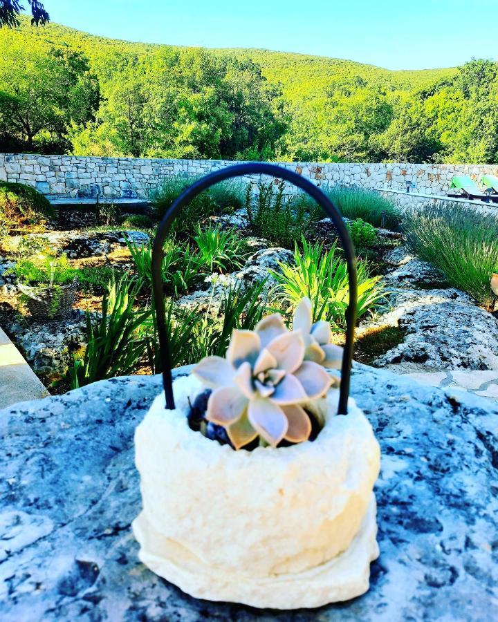 Relaxing Dalmatian House In Village Ljubitovica Εξωτερικό φωτογραφία