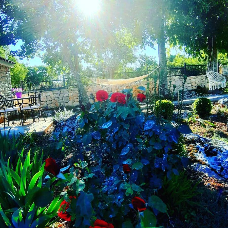 Relaxing Dalmatian House In Village Ljubitovica Εξωτερικό φωτογραφία