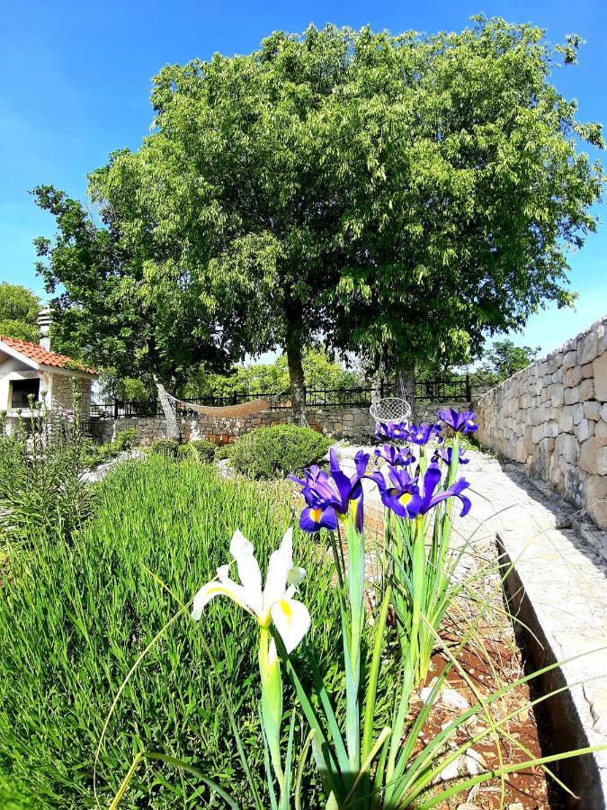 Relaxing Dalmatian House In Village Ljubitovica Εξωτερικό φωτογραφία